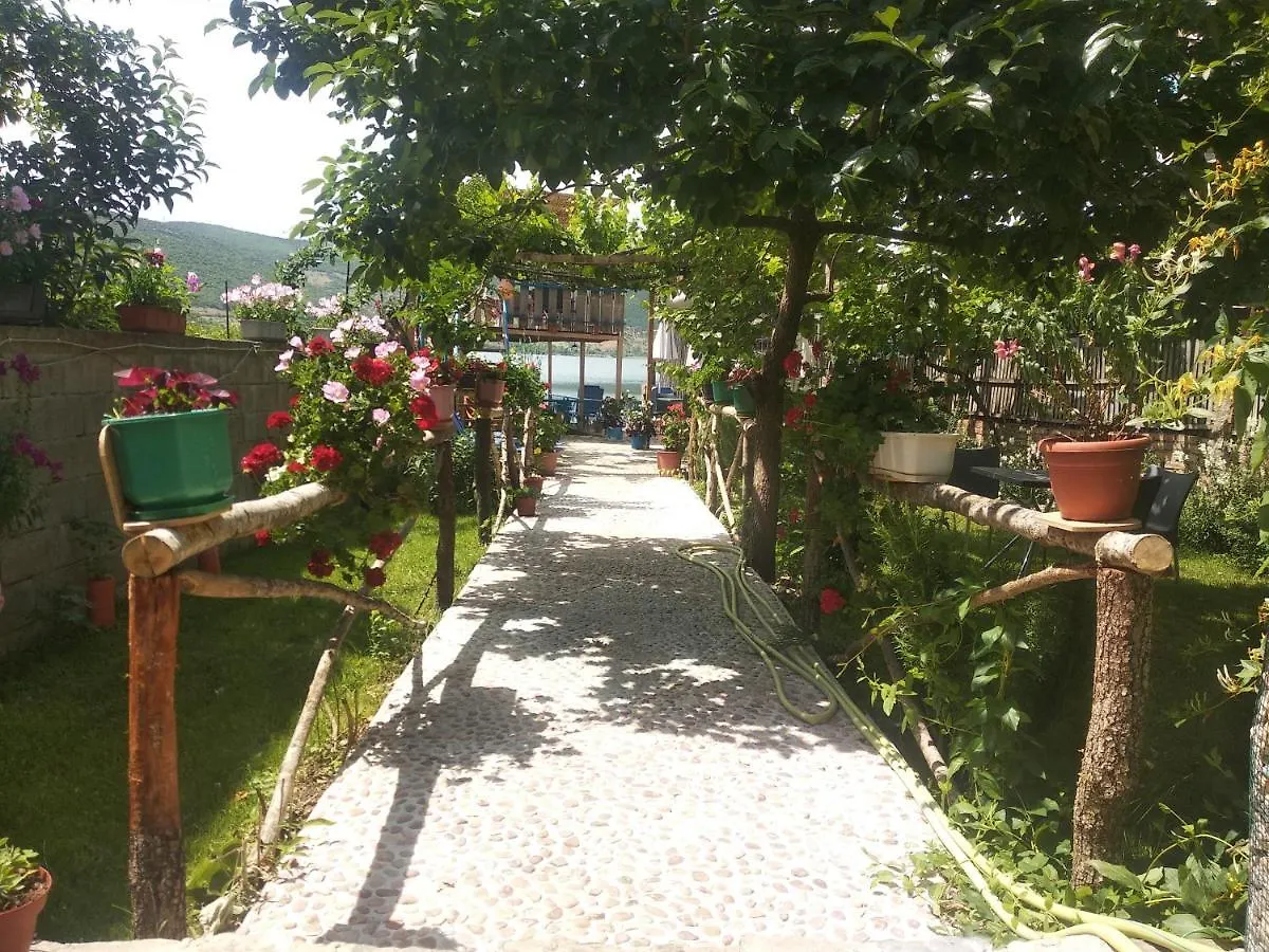 Erda Lakeside Guesthouse Lin 0*,  Albania