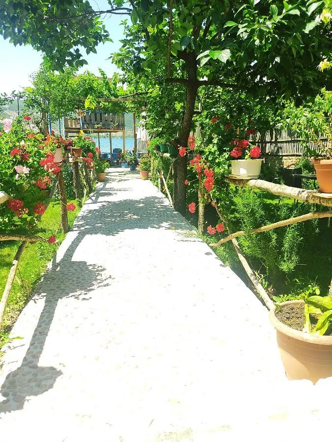 Erda Lakeside Guesthouse Lini 0*,  Albánie